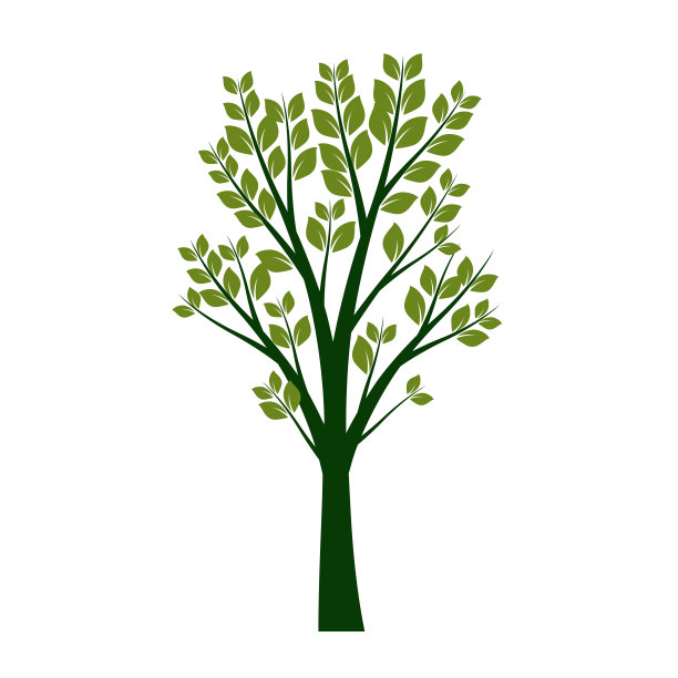 绿色的树和叶子。矢量插图。植物和花园。图片下载