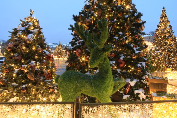 圣诞驯鹿图片下载