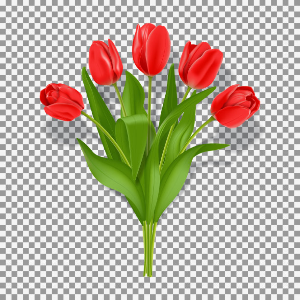 春天红色的郁金香花图片下载