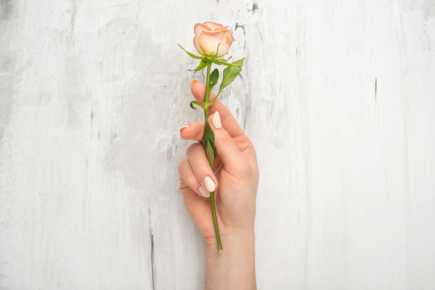 时尚艺术肖像女人在手和鲜花在手与明亮的对比化妆。创造性的美丽的照片，女孩坐在桌子上的大理石背景与彩色阴影图片下载