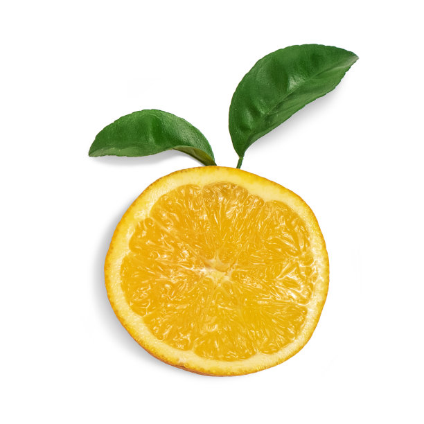 叶子孤立在白色上的一片橙色。俯视图图片下载