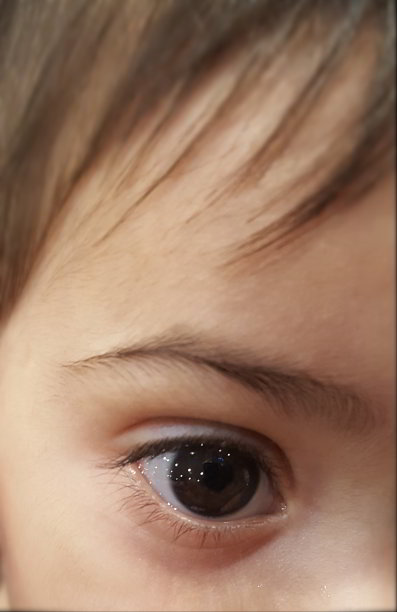 无辜的眼睛图片下载