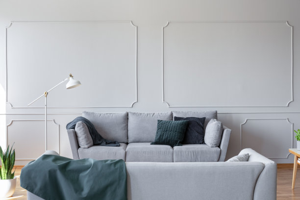 真实的照片，一个灰色的沙发和枕头旁边的一盏灯在一个客厅内部的灰色墙壁上。空墙，放置你的图形素材图片