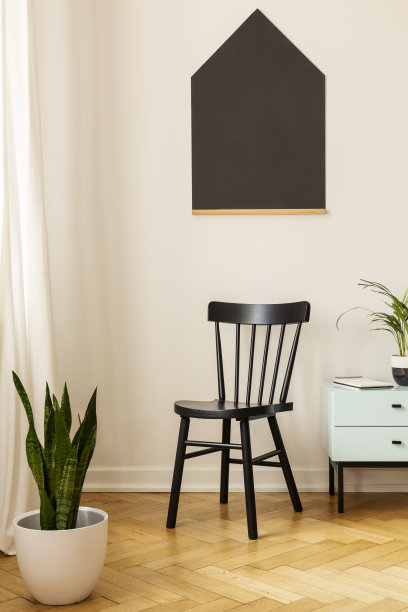 黑色海报，白色墙壁上的椅子和橱柜在简单的公寓室内与植物。真实的照片图片下载