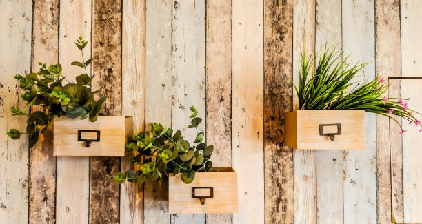 挂在或附在木质背景墙上的植物装饰。图片下载
