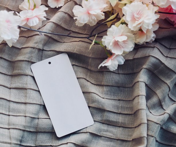 服装标签和樱桃树图片下载