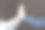 两个人击掌庆祝胜利的肖像图片下载