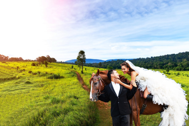 新郎新娘和马在森林里。婚礼的夫妇。图片下载