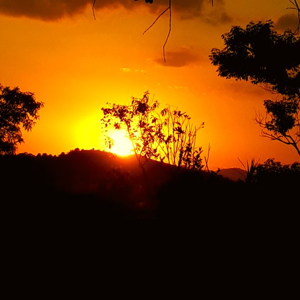 日落。图片下载