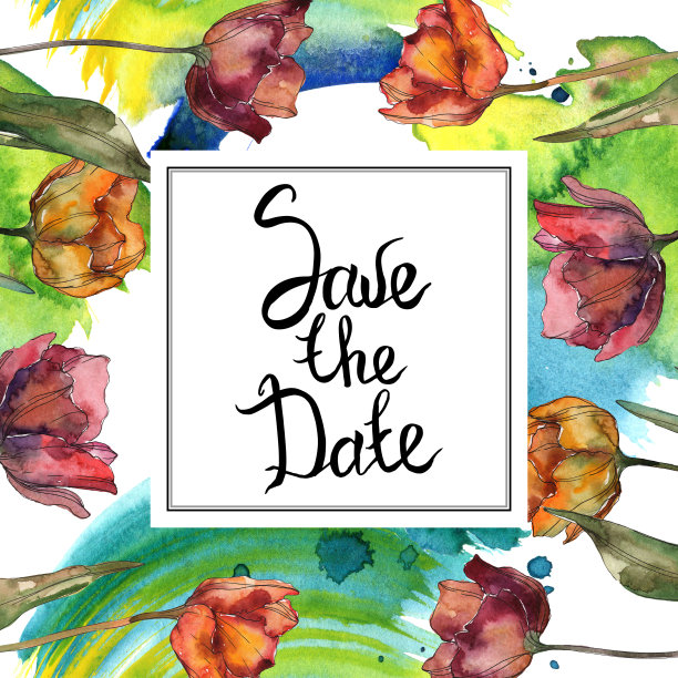 红色和酒红色的植物花。水彩背景插图集。边框装饰方形。图片下载