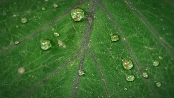 自然的照片图片下载