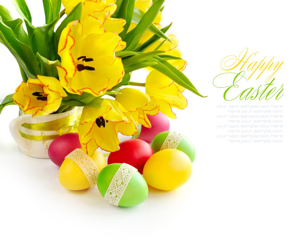 白色背景上的郁金香彩蛋(附样本)图片下载