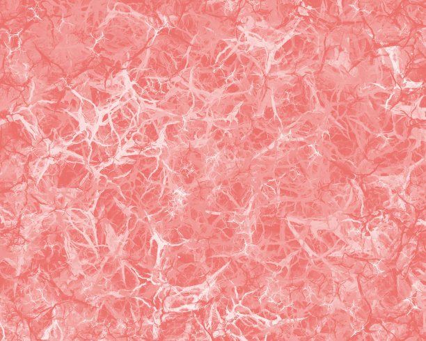 抽象的背景图片下载