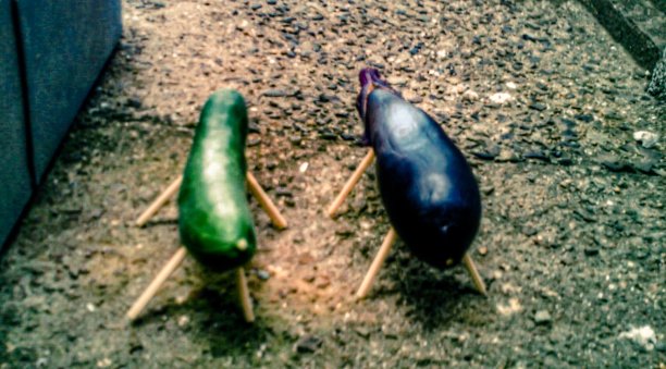 Shoryoma和shoryoshi(宗教祝福)图片下载