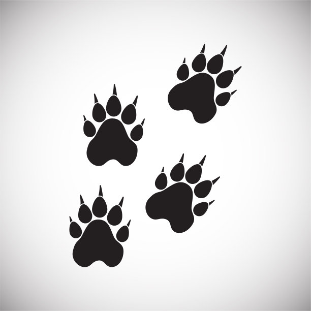 在白色的背景上，动物的爪子在雪地上图片下载