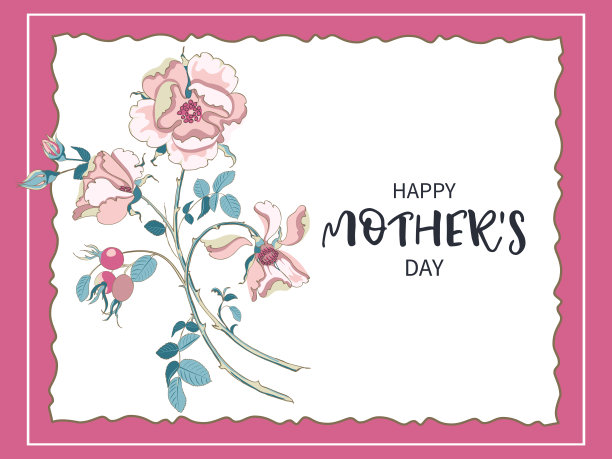 花束美丽的野生玫瑰柔和的颜色与玫瑰臀部在金色框架上的白色背景，特写。图片下载