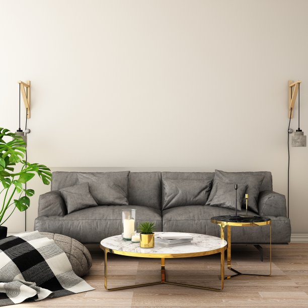 客厅或接待区的室内设计，采用灰色地毯、扶手椅、木地板植物和白色背景/ 3d插图、3d渲染素材图片