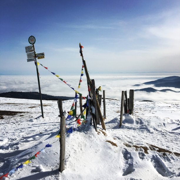 在上面图片下载