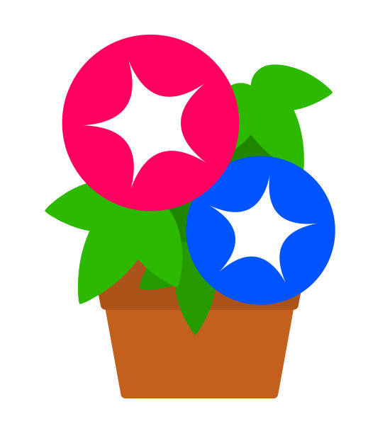 牵牛花图片下载