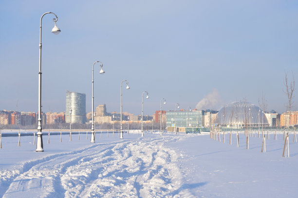 圣彼得堡郊区的城市景观。图片下载
