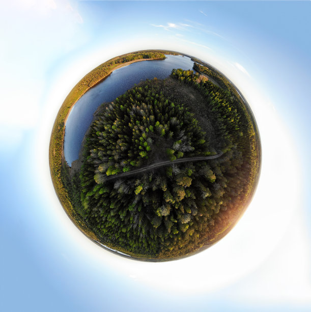 森林和湖图片下载