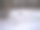 狗在雪地里搜寻图片下载