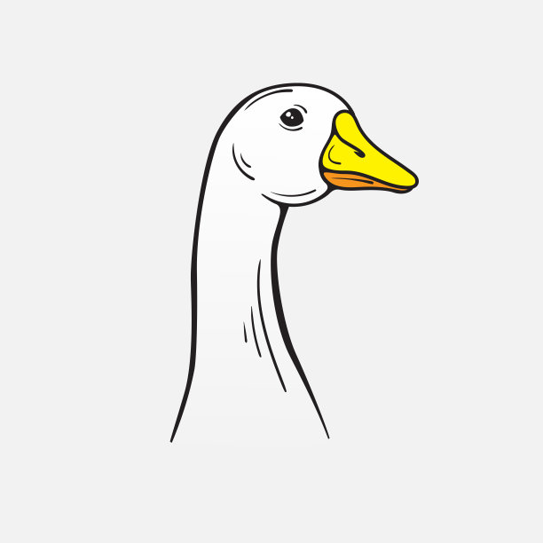 标志白鹅，现实的鹅插图图片下载