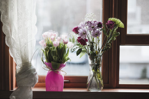 窗台上有鲜花图片下载