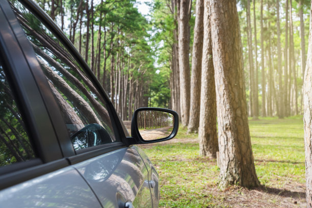 侧面的车在自然的背景图片下载
