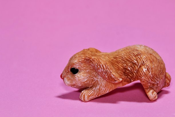 (兔年)图片下载