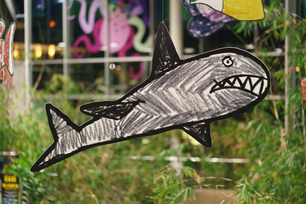 鲨鱼的图片图片下载