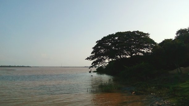 这条河戈达瓦里河图片下载