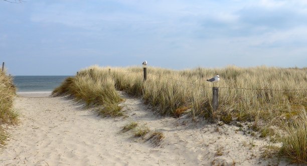 细沙沙滩与沙丘波罗的海，德国，石勒苏益格-荷尔斯泰因图片下载