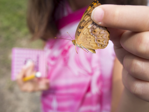 手握蝴蝶图片下载