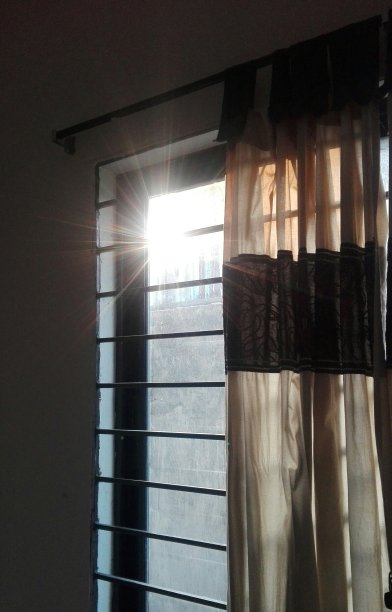 阳光和窗口。图片下载