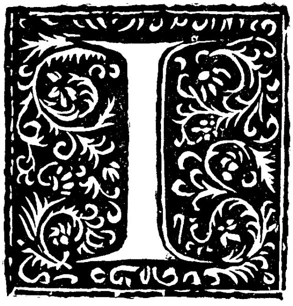 维多利亚时代的黑白版画，上面有一个大写字母，我在黑色的背景上描绘了风格化的树叶;19世纪的书籍装饰;1892年英语了图片下载