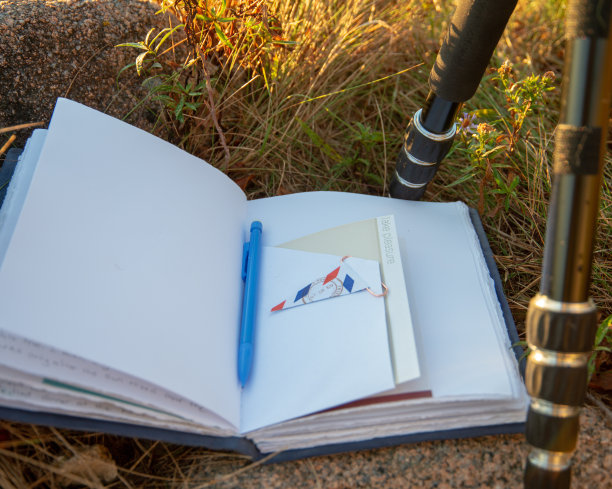 在晨光中打开日记图片下载