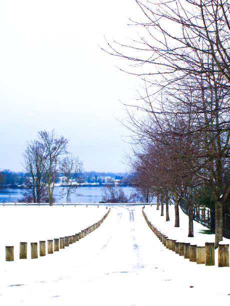 冰雪覆盖的城市道路和美丽的湖边绿树成荫的景观图片下载