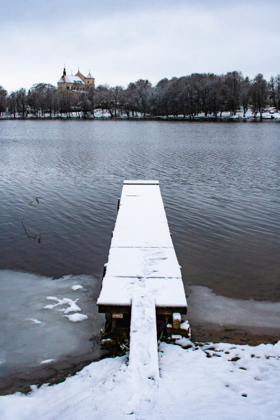 木墩被雪覆盖，垂直图片下载