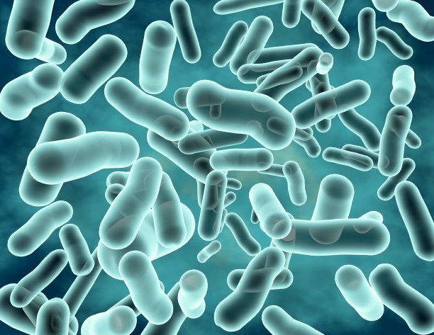 蓝色透明菌株3d渲染。图片下载