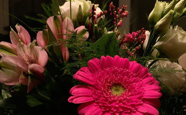 彩色花束的特写镜头图片下载