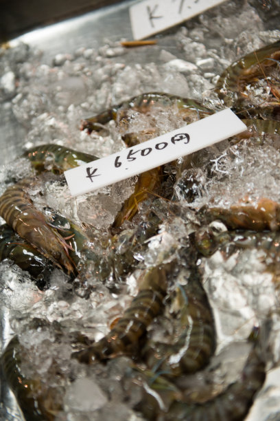 鲜鱼在鱼市展出图片下载