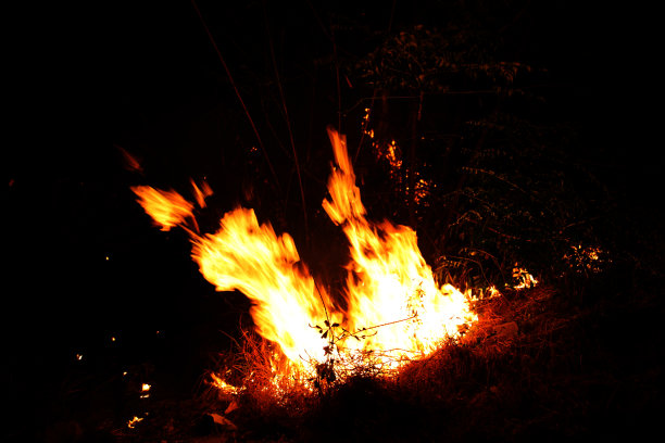 夜间森林火灾图片下载