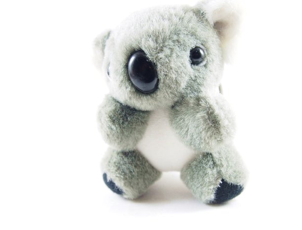 灰色考拉熊娃娃，软玩具和纪念品图片下载