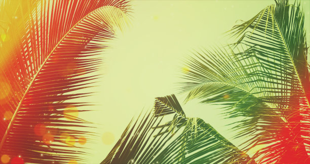 蓝天下的椰子树。复古背景与散景和喇叭花。图片下载