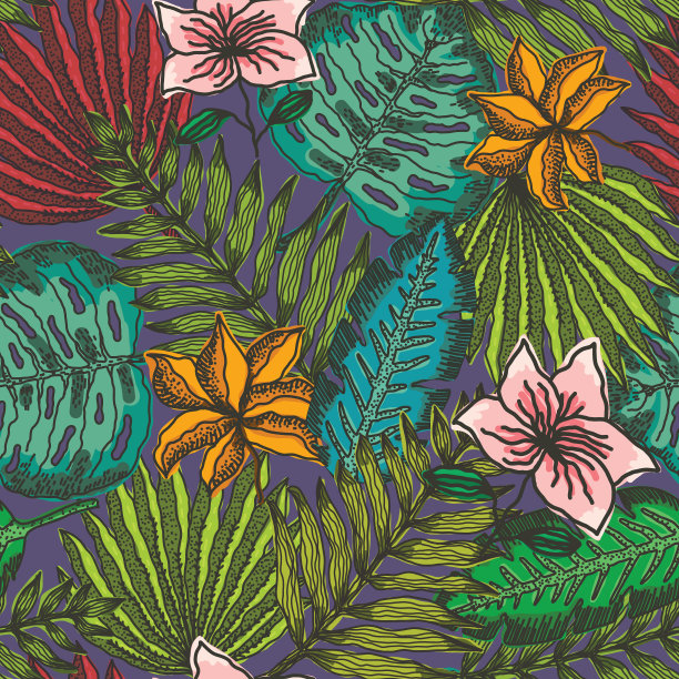 明亮的图案，热带叶的轮廓图片下载