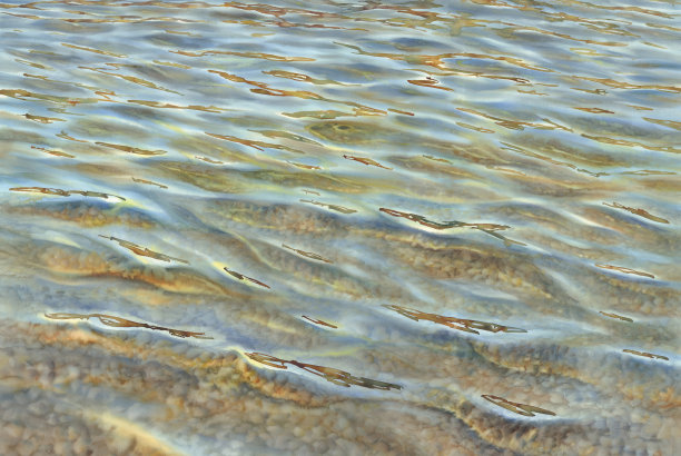 阳光明媚的大海与透明的波浪水彩背景素材图片