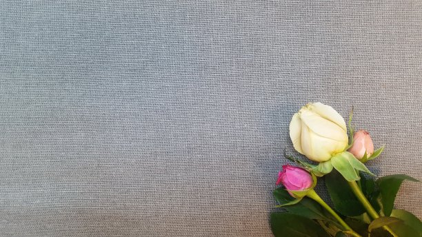 三朵小玫瑰躺在灰色的亚麻织物上。图片下载