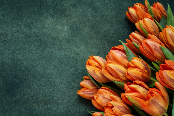 橙色郁金香在绿色背景上的花束。节日的概念。拷贝空间，俯视图。图片下载