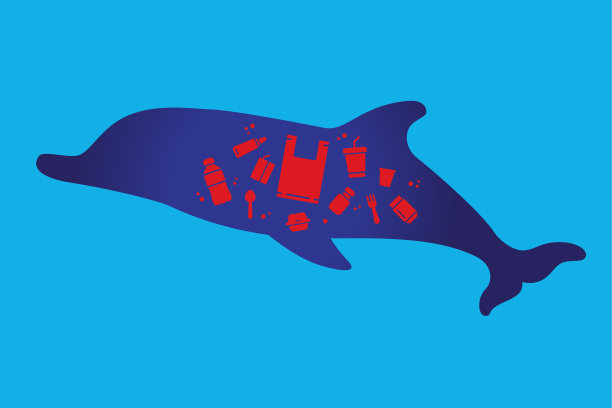 海豚和垃圾图片下载